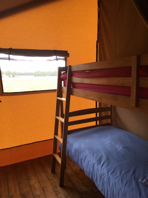 Safari tent bedroom two